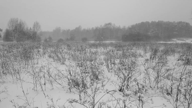 Russian Psychiatric Pastoral: Prologue screenshot