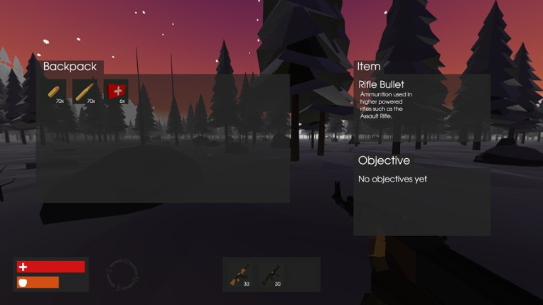 True North screenshot