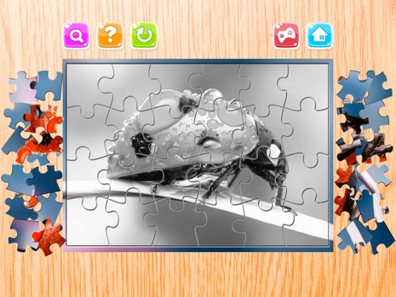 Nature Flowers and Bug Jigsaw Puzzle for Adults screenshot