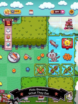 Rare Pets - Merge Game Mystery Image