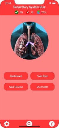 Respiratory System Trivia Image