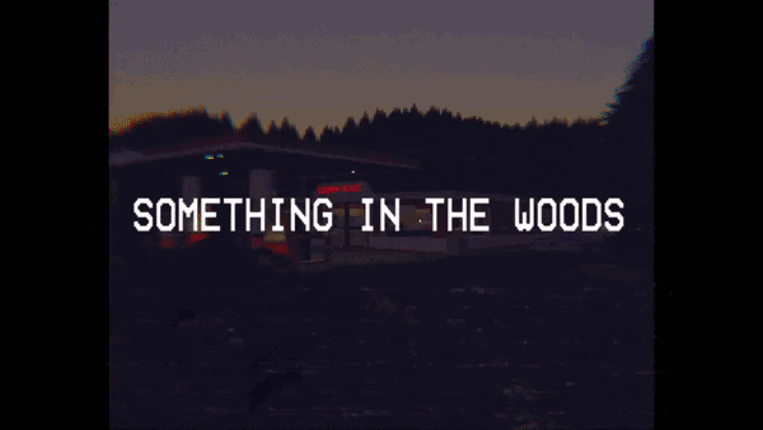 SOMETHING IN THE WOODS Image
