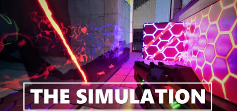 The Simulation Image