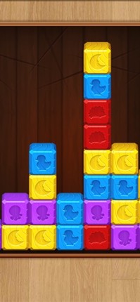 Toy Block Break screenshot