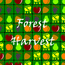 Forest Harvest Image