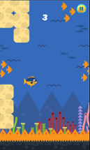 Jump Fish Image