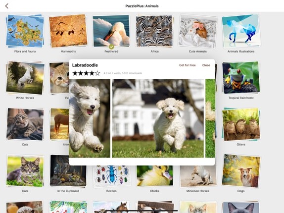 Jigsaw Puzzles Animals Image