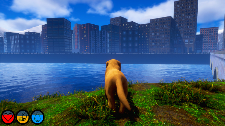 Lost Paws screenshot