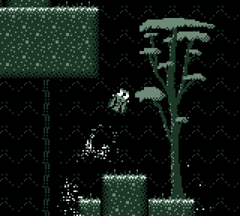 Owl Camp - (jam entry) screenshot