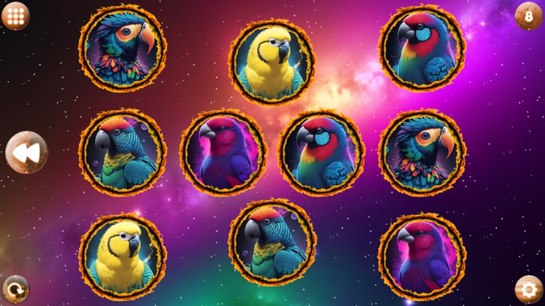 Space Memory: Parrots screenshot