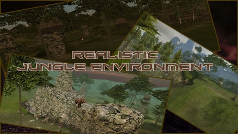 Wild Bear Hunter 2016 : Jungle Beast Hunting Simulation 3d : full fun free game Image