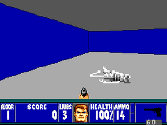 Wolfenstein Maze 3D Image