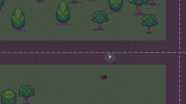 RZR Downloadable Image