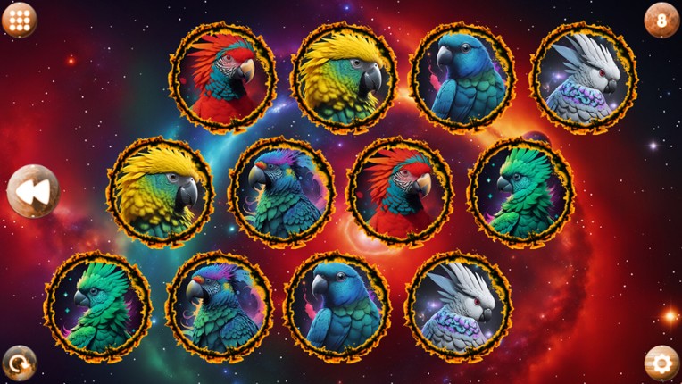Space Memory: Parrots screenshot