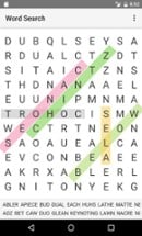 Word Search Image