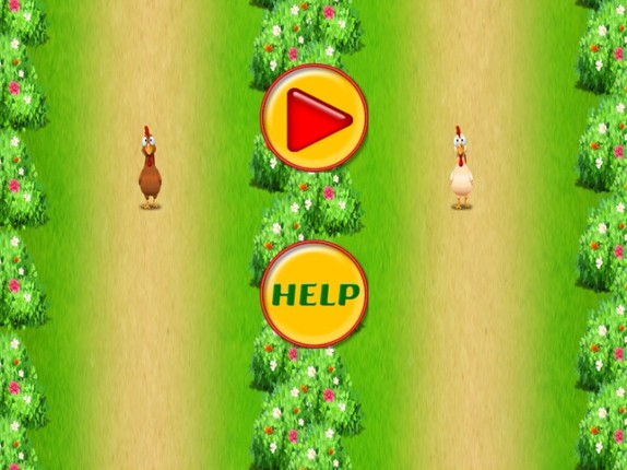 2 Bird Survival Race Image