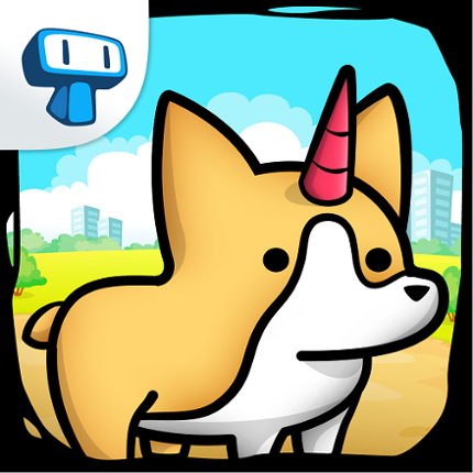 Corgi Evolution: Shiba Dogs Image