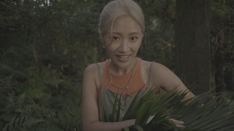 Island Way Too Nice Image