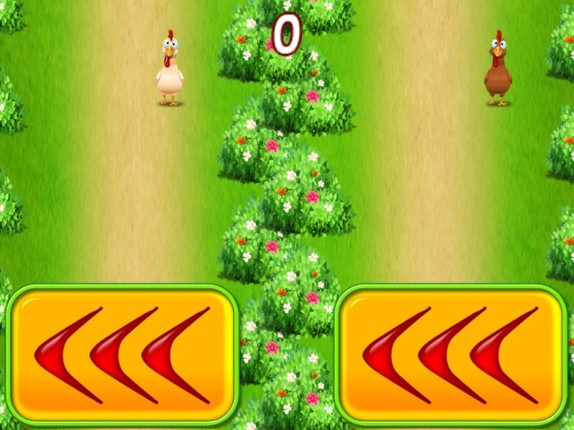 2 Bird Survival Race screenshot