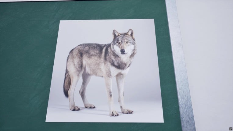 8th period: Music screenshot