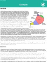 Anatomy : Digestive System Image