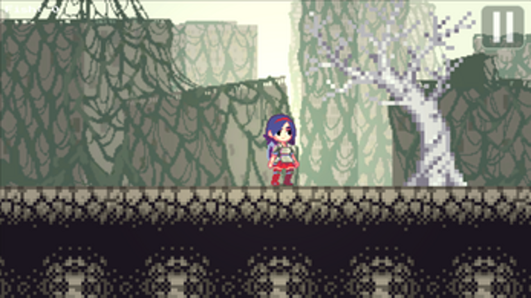 Cave Cat Adventures Image