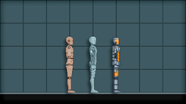 Ragdoll Human Workshop Image