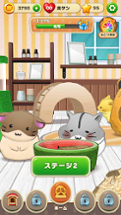 Hamster Life match and home Image