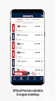 New England Patriots Image