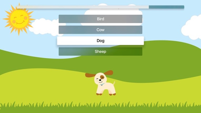 Quiz of Animals Image