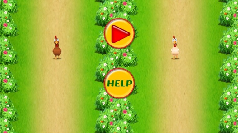 2 Bird Survival Race Image