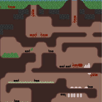 Formicary Image