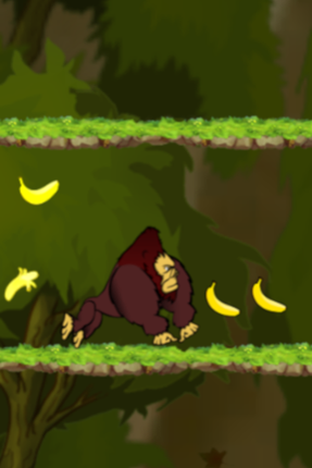 Jungle Run Game Cover