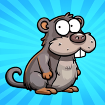 Pocket Zoo Image