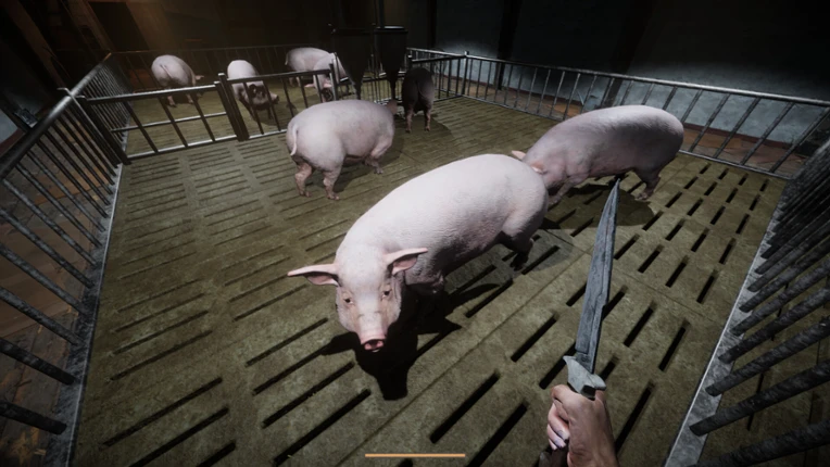 Porcine Parasite Image
