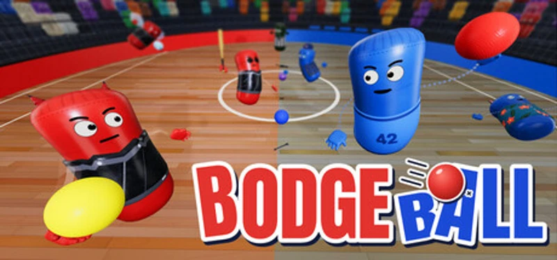 BodgeBall Image