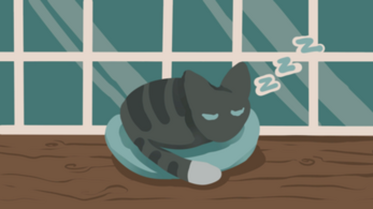 CATastrophe 3: Meowgical Mayhem Image