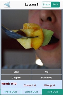 English Grammar With Photos (Learning &amp; Practice) screenshot