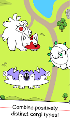 Corgi Evolution: Shiba Dogs Image