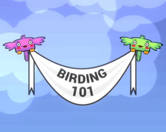 Birding 101 Game Cover