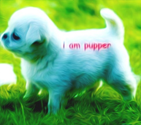 What I Talk About When I Talk About Puppers (2022 edition) screenshot