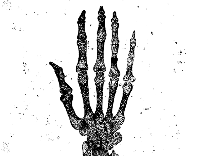 Games like Grave Matters - Dig Deeper