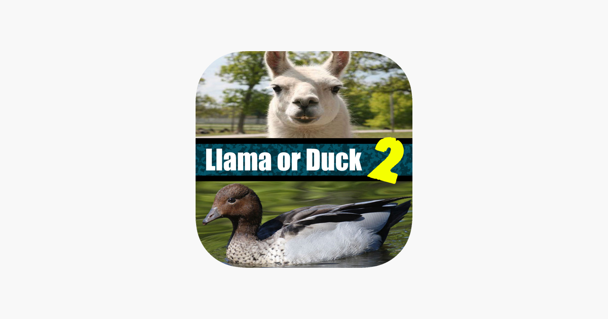 Games like Llama or Duck Quiz 2