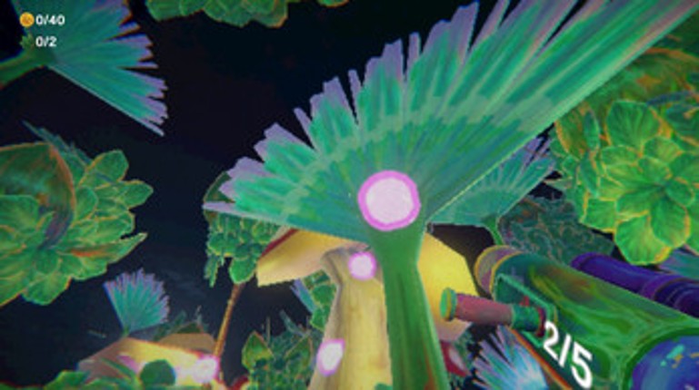 Toucan Island screenshot