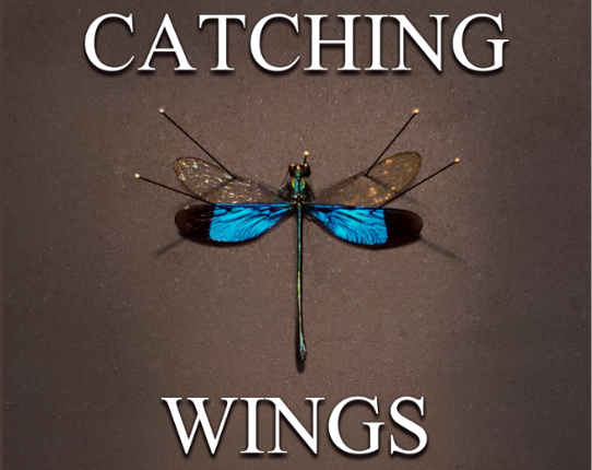 Catching Wings Image