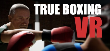 Games like True Boxing VR
