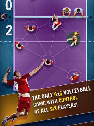 Volleyball Championship Image