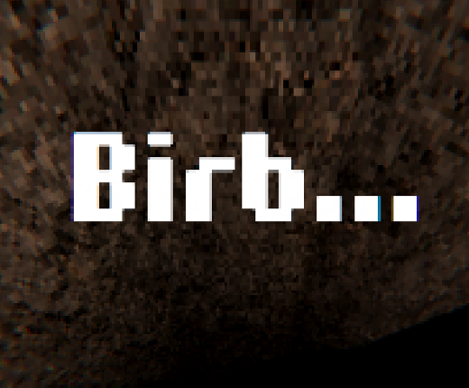 Birb... Game Cover