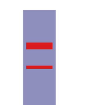 Brown Bull Racing Off Road Desert Runner Image