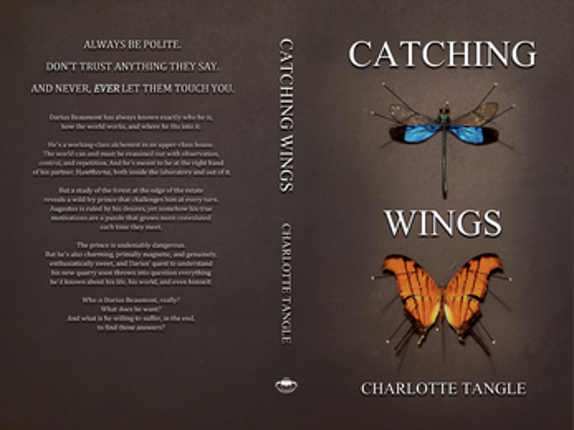 Catching Wings Image